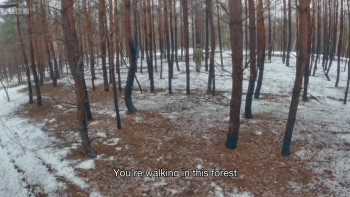 Ukraine: Enemy in the Woods (2024) download