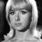 Angela Douglas Picture
