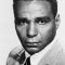 Bernie Hamilton Picture