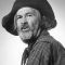 George 'Gabby' Hayes Picture