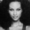 Beverly Johnson Picture