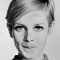 Twiggy Picture