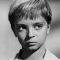 Tommy Rettig Picture