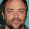 Mark Sheppard Picture