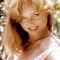 Yvette Vickers Picture
