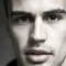 Theo James Picture