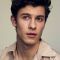 Shawn Mendes Picture