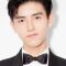 Arthur Chen Picture