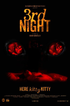 3rd Night (2017) download