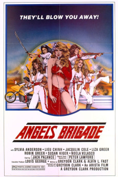 Angels' Brigade (1979) download