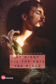 At Night All the Cats Are Black (2022) download