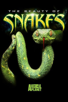 Beauty of Snakes (2003) download