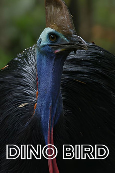 Dino Bird (2017) download