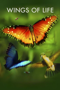 Disneynature: Wings of Life (2011) download