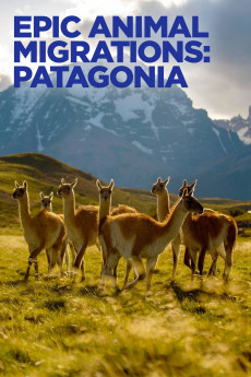 Epic Animal Migrations: Patagonia (2023) download