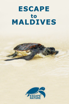 Escape to Maldives (2015) download