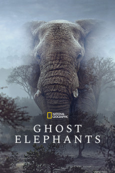 Ghost Elephants (2025) download