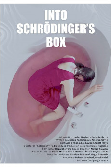 Into Schrodinger's Box (2021) download