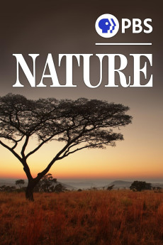 Nature Moment of Impact: Hunters and Herds (2010) download