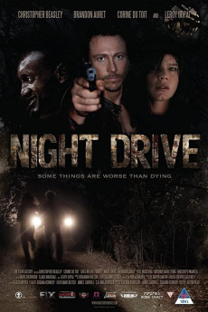 Night Drive (2010) download