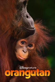 Orangutan (2026) download