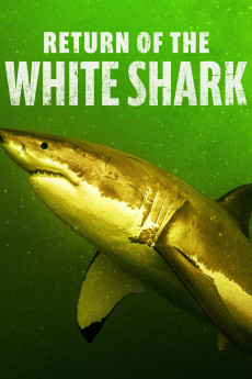 Return of the White Shark (2023) download