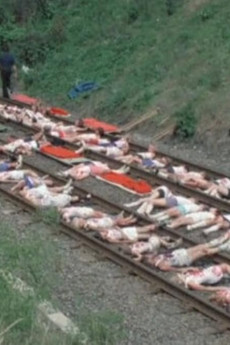 The Finishing Line (1977) download