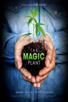 The Magic Plant (2020) download