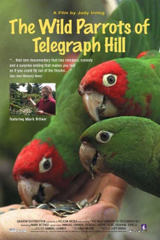 The Wild Parrots of Telegraph Hill (2003) download