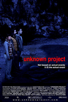 Unknown Project (2013) download