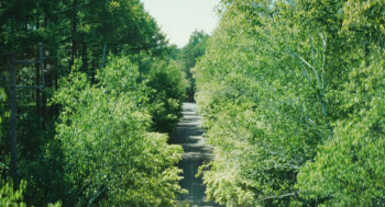 1st Kiss (2025) download