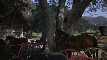 A Big Hand for the Little Lady (1966) download