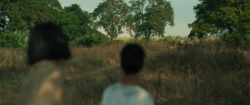 A Foggy Tale (2025) download