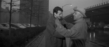 A Hatful of Rain (1957) download