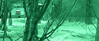 Ai nu (1972) download