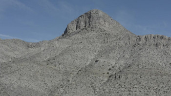 Alien Contact: Government Coverup (2025) download