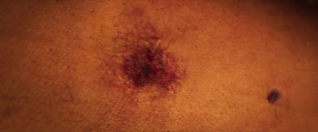 Alpha (2025) download