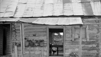 Althea (2014) download