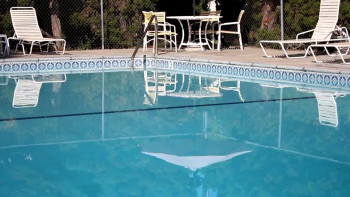 Amityville Death Toilet (2023) download