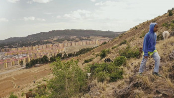 Anbessa (2019) download