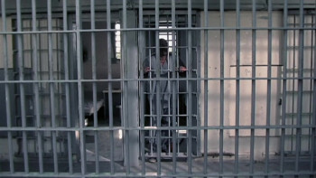 Animal (2005) download