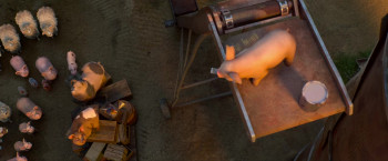 Animal Farm (2025) download