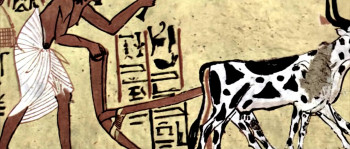 Arachnicide (2014) download