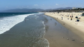 Artfully United (2025) download