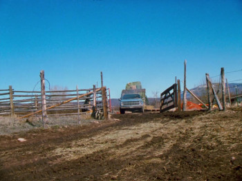 Aspen (1991) download
