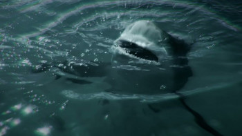 Attack of the Samurai Sharks (2026) download