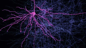 Aware: Glimpses of Consciousness (2021) download