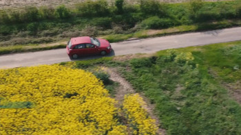 Babe Camp (2023) download