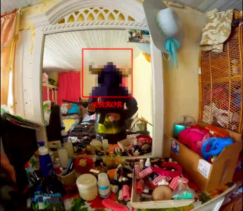 Baby Invasion (2024) download