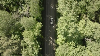 Bad Bunny (2025) download